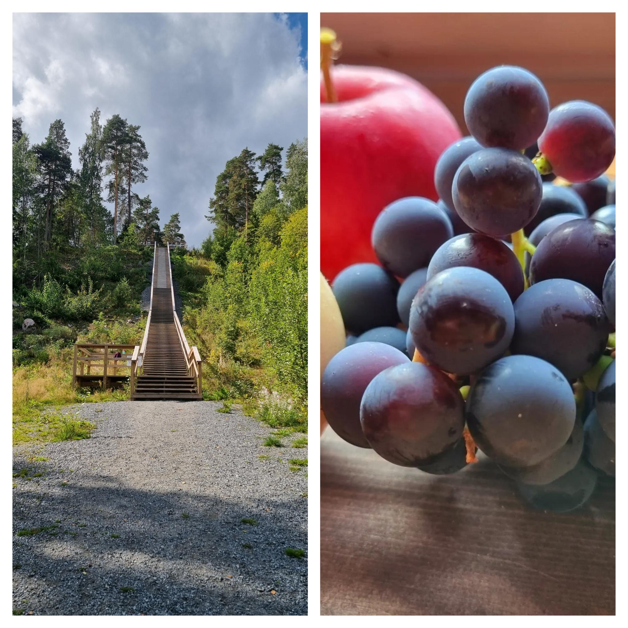 Sykkivien sydänten päivä 21.8.2024